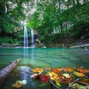 بریم شمال گردی