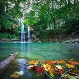 بریم شمال گردی