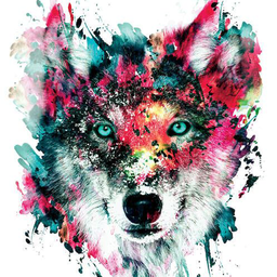 Wolf Wallpapers