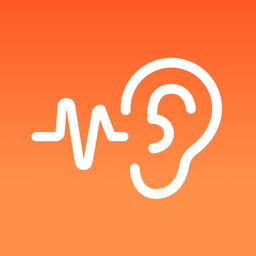 Volume Control Sound Amplifier