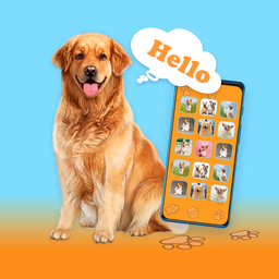 Dog translator top