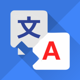 AI Translator: Voice & Camera