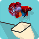Catch the Betta