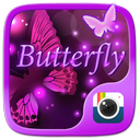 Z CAMERA BUTTERFLY THEME