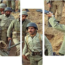 شیفتگان خدمت