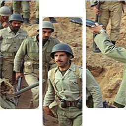 شیفتگان خدمت