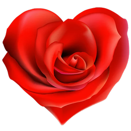 Flower Sticker - WAStickerApps