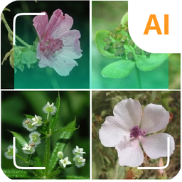 Plant identifier
