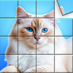Jigsaw Puzzles, Jigsaw Tiles