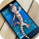Lizard  on phone  prank