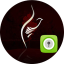 moharram GOLocker Theme