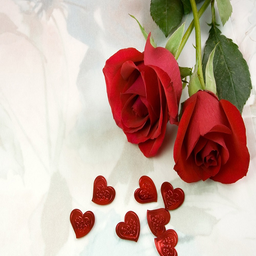 تم عاشقانه برای گولاکر