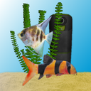 Aquarium Fish