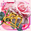 Roses Hearts HD Live Wallpaper