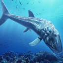 Leedsichthys Simulator