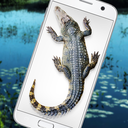 Crocodile in Phone Big Joke