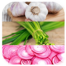 سیر تا پیاز