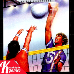 Super Volleyball