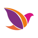 Paint On- نقاشی به سبک متفاوت