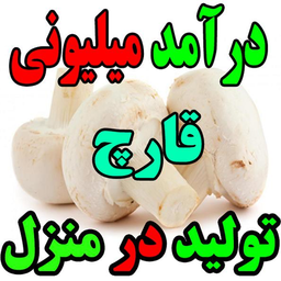 آموزش قارچ