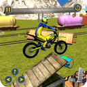 Stunt Motocross Rider