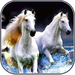Horse Wallpaper