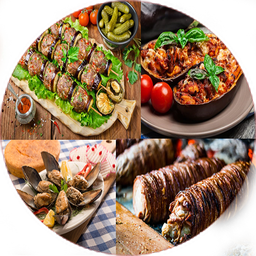 غذای ترکیه ای