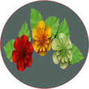 قدم به قدم گلسازی