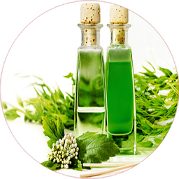 تهیه و تولید اسانس گیاهی