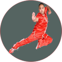 آموزش ورزش ووشو