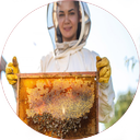 قدم به قدم با زنبورداری