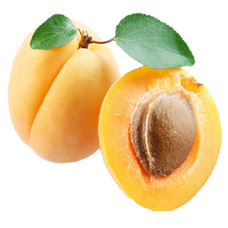 دیکشنری زردآلو