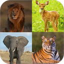 Animals World