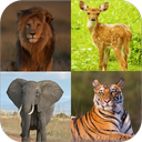Learn Animals Name and Sound