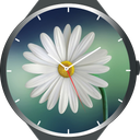 Flowers Animated Watch Faces