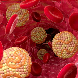 چگونه کلسترل خون خود را کاهش دهیم؟