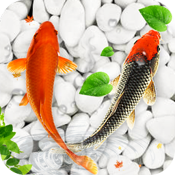 Koi Fish Live Wallpapers HD for Android - Download