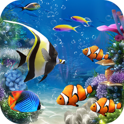 Lively Aquarium Fish Theme
