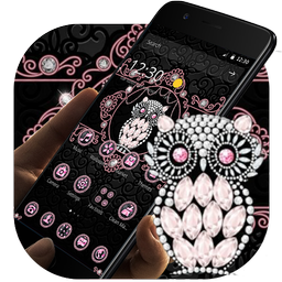 Pink Black Glitter Owl Theme