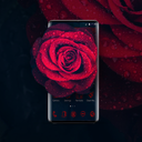 Glamorous Red Rose Launcher