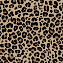 Leopard Wallpaper