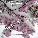 Winter Wallpaper 2025