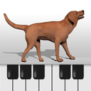 Dog Piano Keyboard