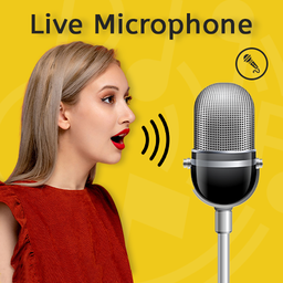 Live Microphone echo effect