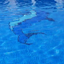 Water Ripple Live Wallpaper