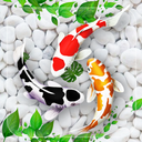 Fish Live Wallpaper 3D Touch
