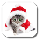 Christmas Cat Live Wallpaper