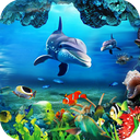 Aquarium Fish Live Wallpaper : Fish Backgrounds HD