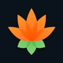 Lotus Chess - Opening Trainer