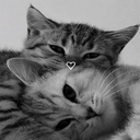 Love Wallpaper